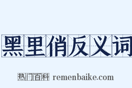 黑里俏反义词是什么意思的图片
